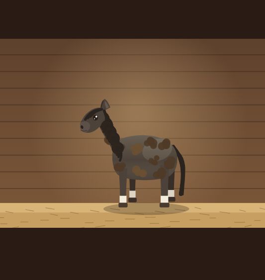 Schwarzes Pony voller Schlammflecken, mit dunkler Mähne und weißen Söckchen, auf dem Stroh einer Holzbox